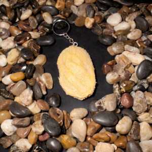Mango Seed Key Ring